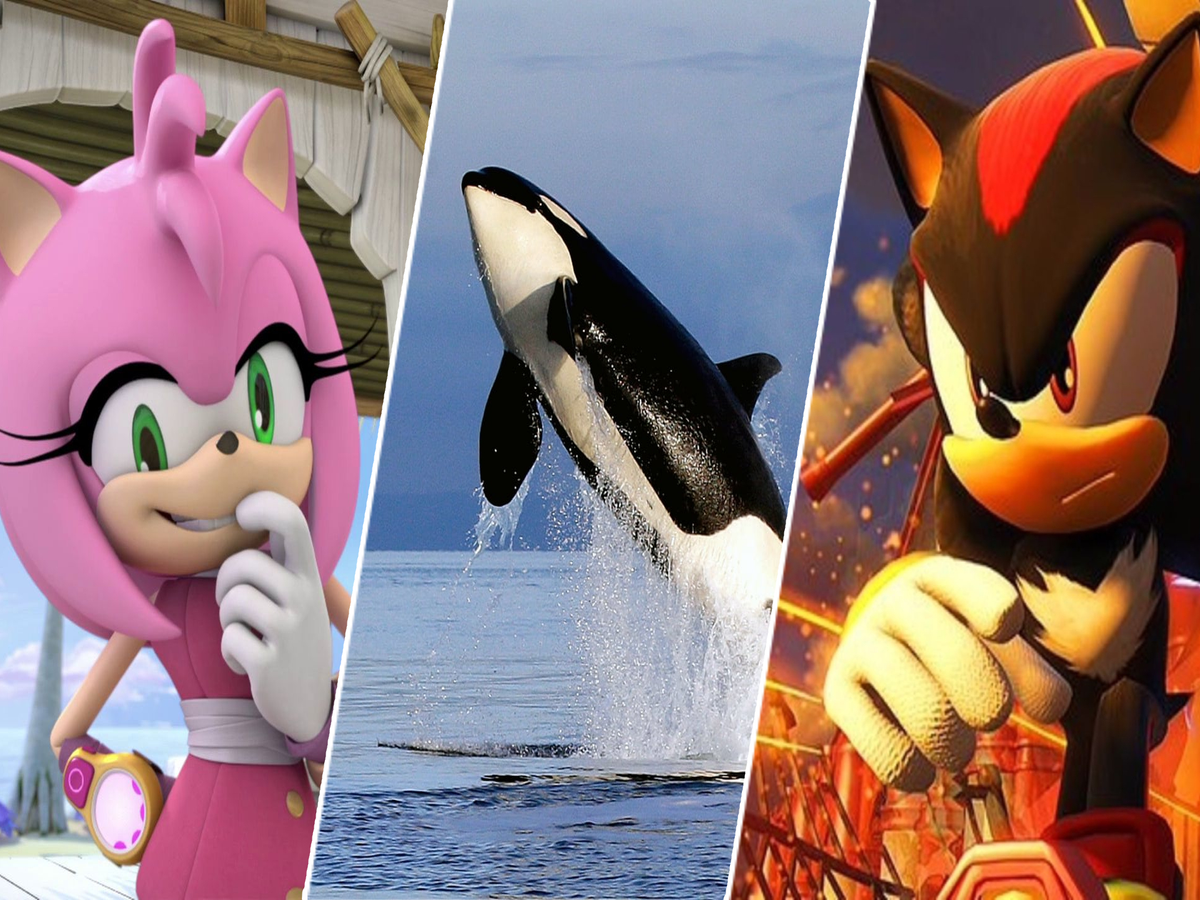 Sonic 3: Shadow é destaque em primeiro teaser do novo filme