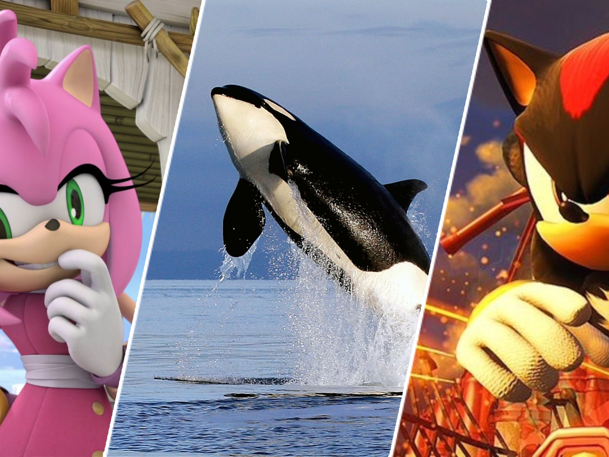 5 things that should be in the Sonic the Hedgehog 3 movie