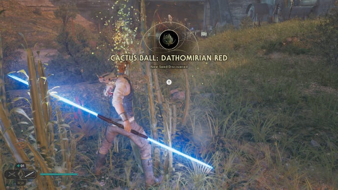 Star Wars Jedi Survivor screenshot showing Cal stood with a dual blade lightsaber and grabbing a Cactus Ball Dathomirian Red.