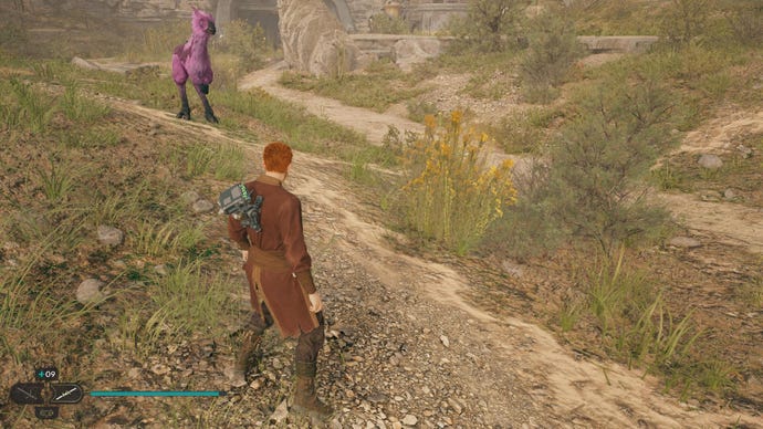Star Wars Jedi Survivor screenshot showing Cal stood near a pink Nekko and a glowing plant.