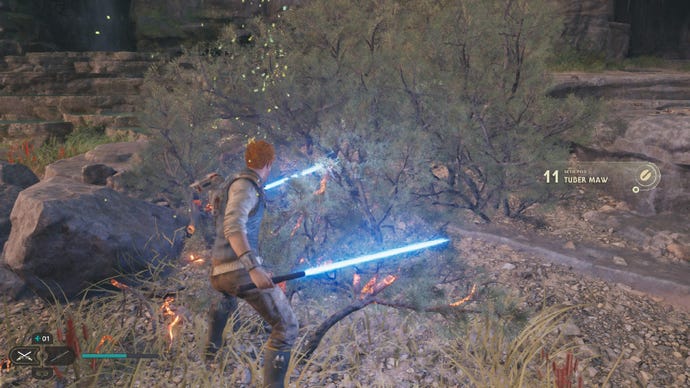 Star Wars Jedi Survivor screenshot showing Cal Kestis finding a seed pod and wielding dual blue lightsabers.