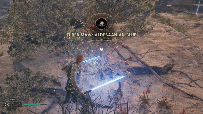 Star Wars Jedi Survivor screenshot showing Cal Kestis finding a seed pod and wielding dual blue lightsabers.