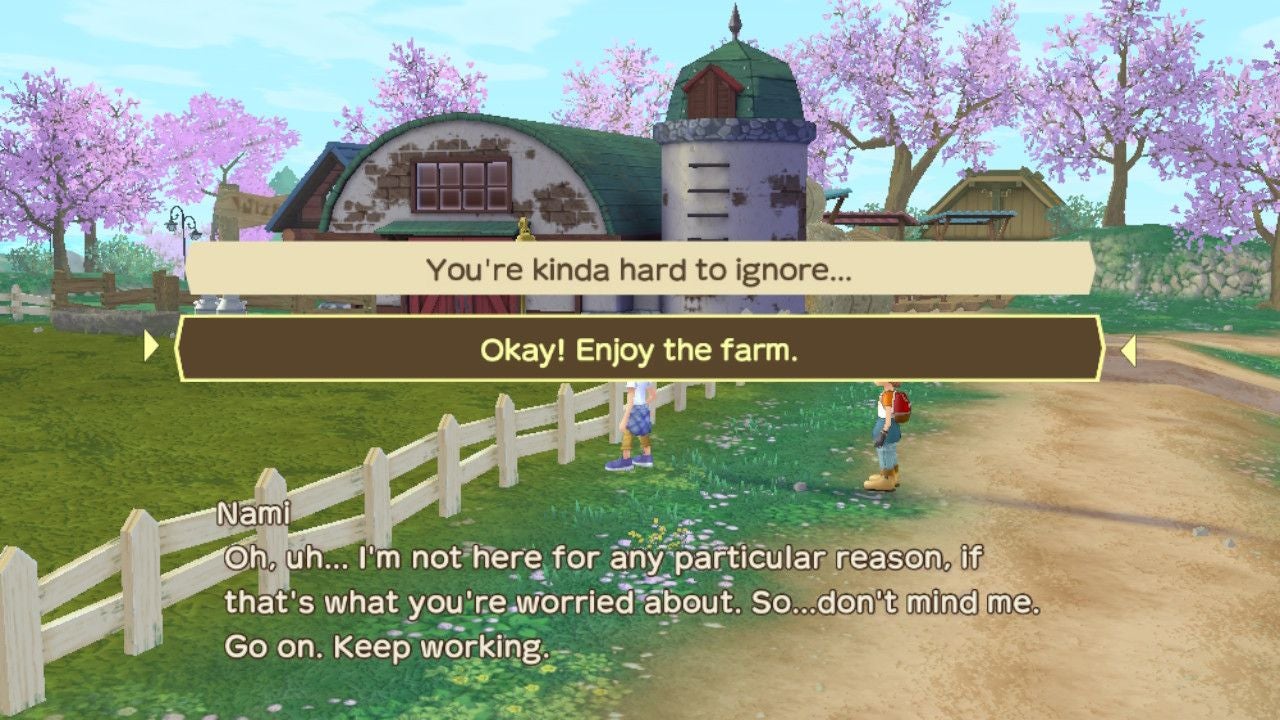story of seasons awonderful life heart events guide