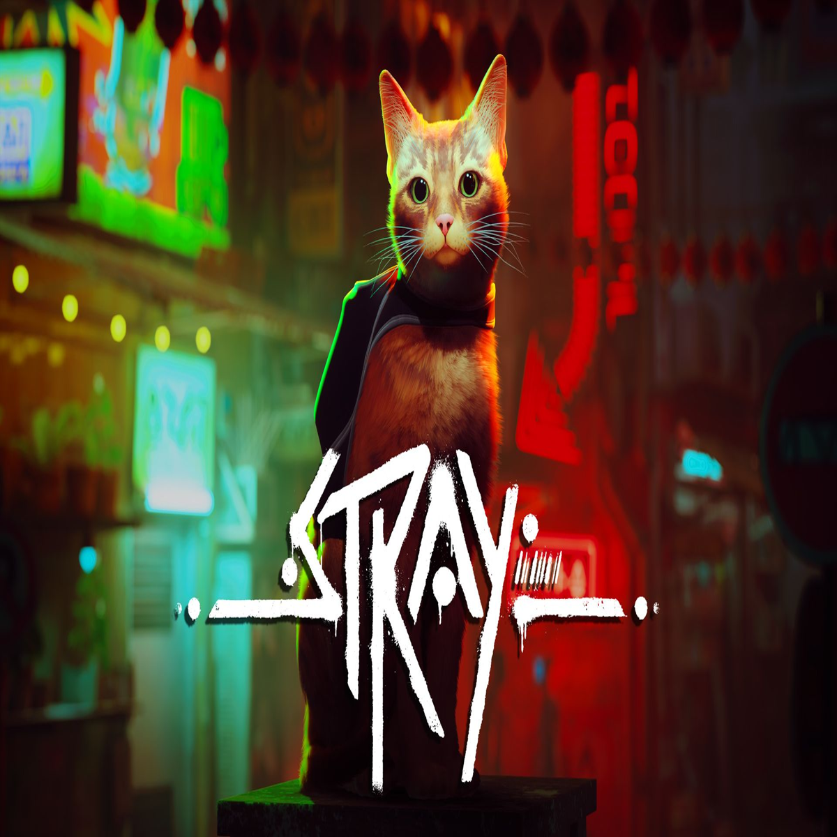 The Detective Cat Game STRAY Just Got Its First Gameplay Trailer