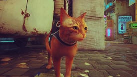 A close-up of Stray's playable ginger tabby cat.