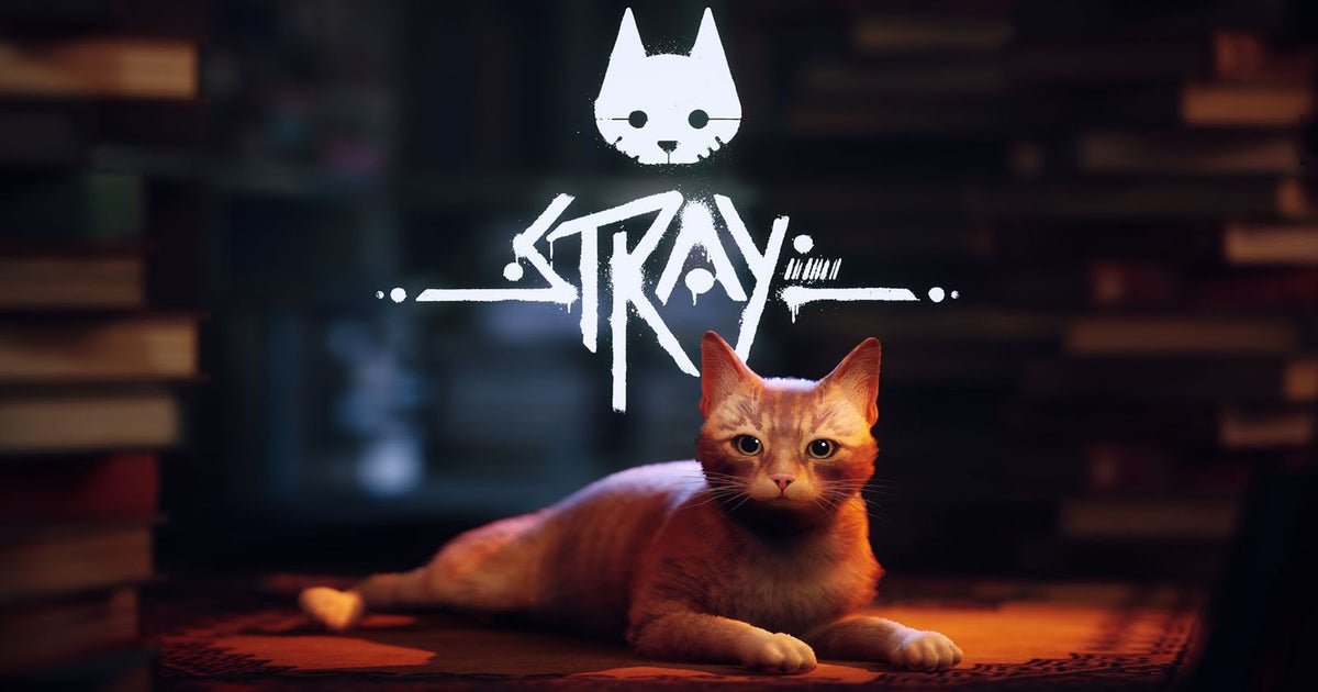 New PS5 Game 'Stray' Lets You Be A Cat In A Neon-Lit Cybercity And Solve  Mysteries In It - News Tells