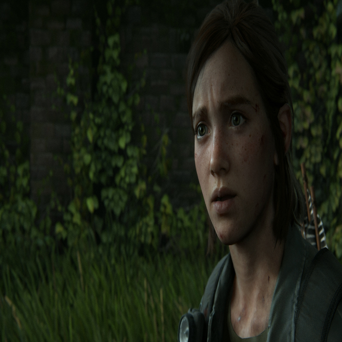 17 The last of us ideas  the last of us, the last of us2, the lest of us
