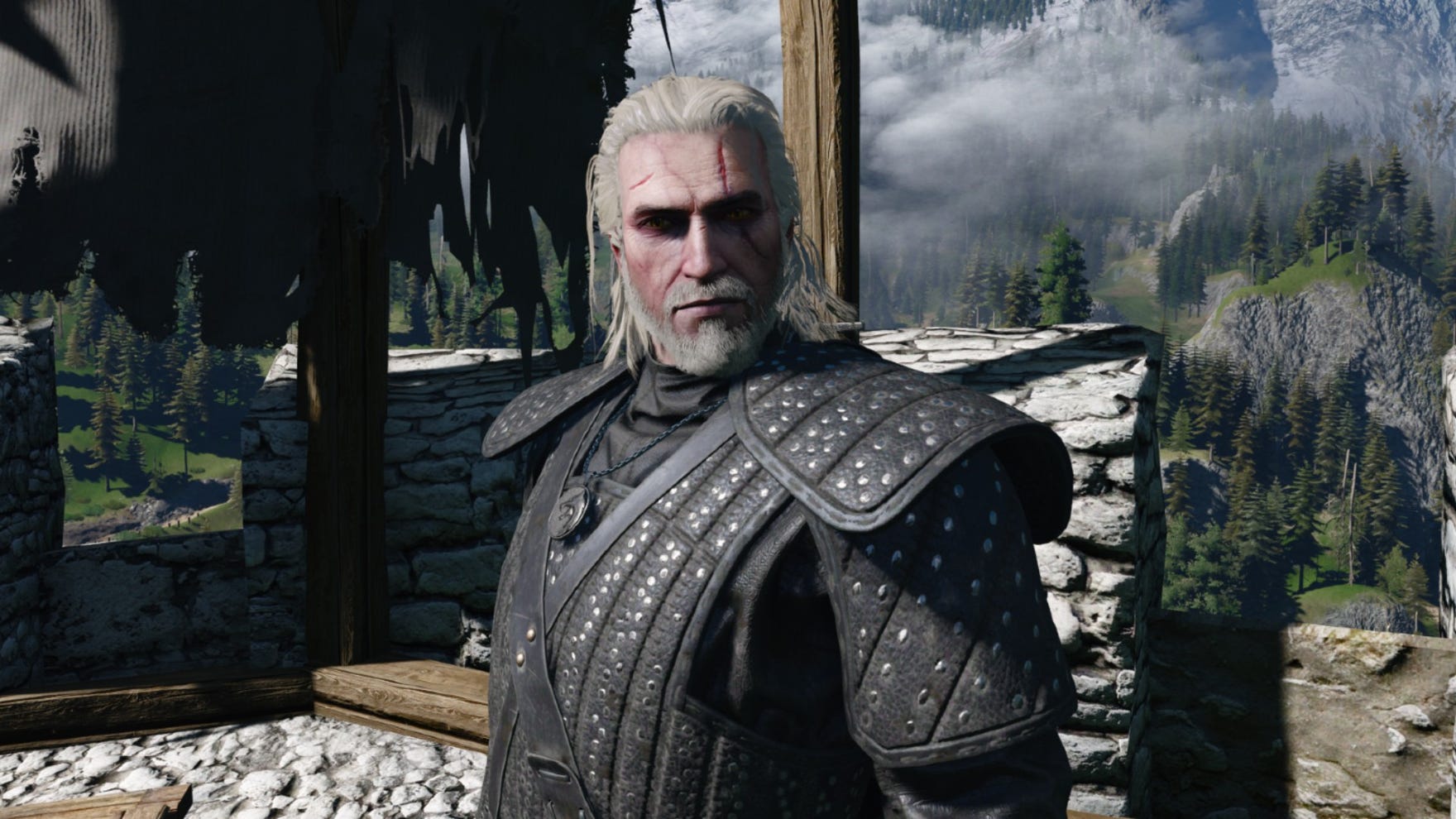 The witcher 3 with geralt doppler фото 47