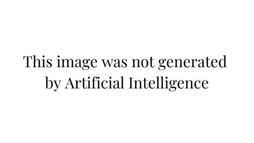 Black text on a white background that reads "This image was not generated by Artificial Intelligence"