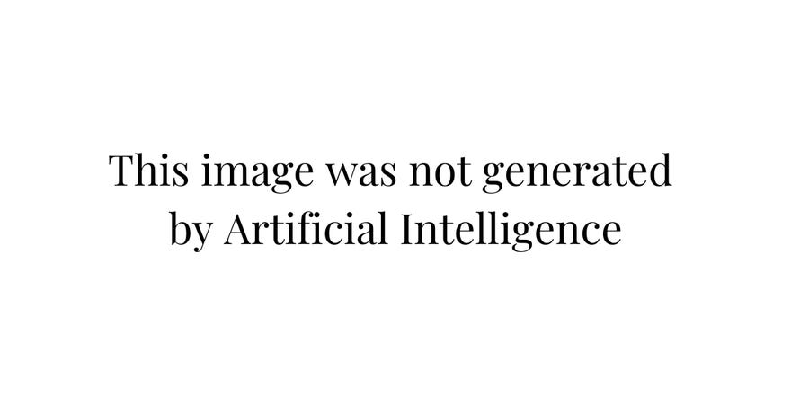 Black text on a white background that reads "This image was not generated by Artificial Intelligence"