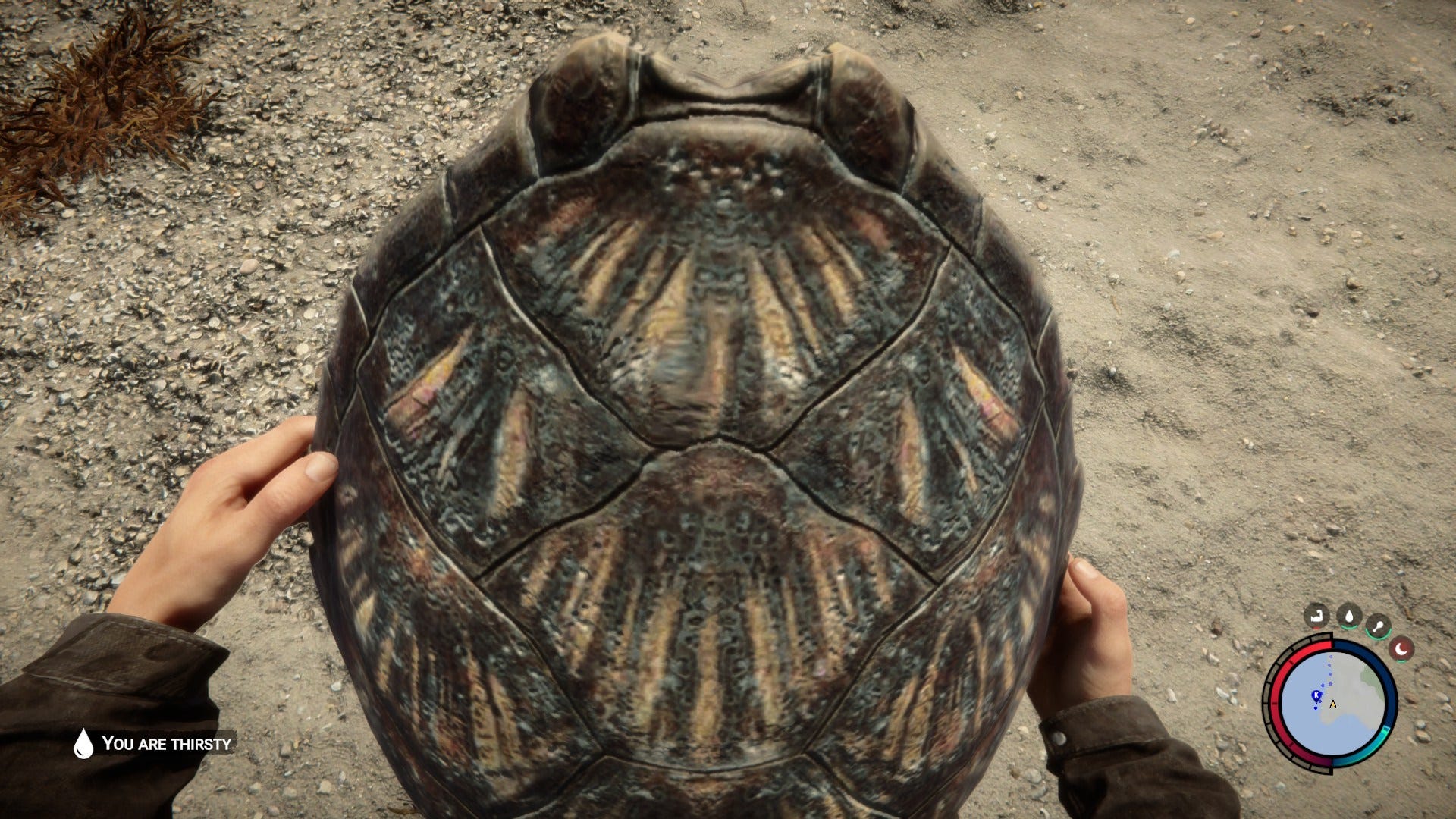 How to get and drink water in Sons of the Forest, including flask ...