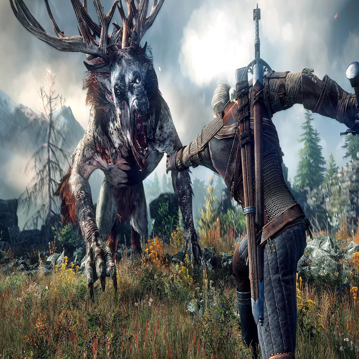 The witcher 3 monster hunt фото 66