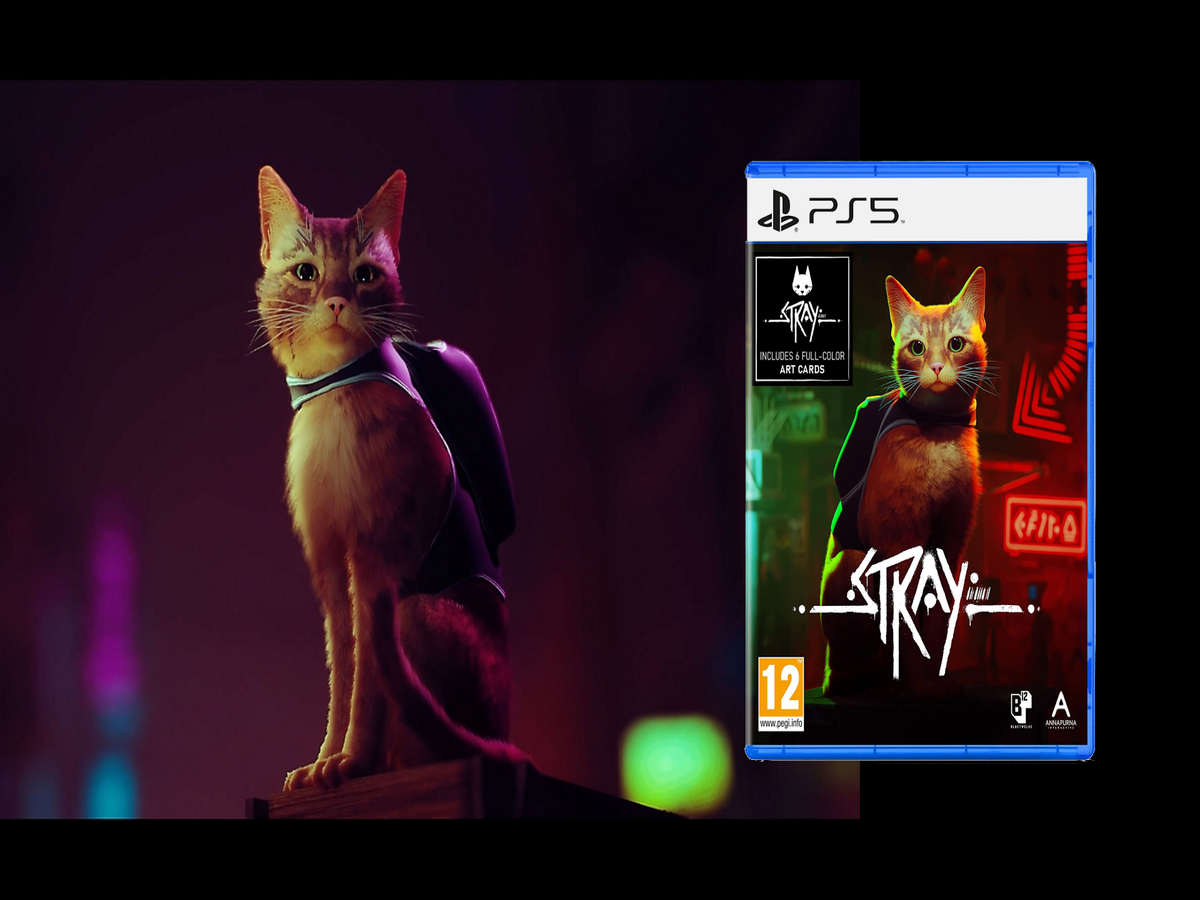 Stray Out Now For PS5, PS4 and PC - Gameranx