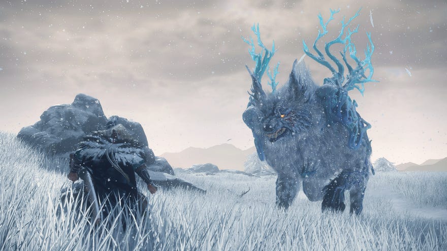 Một con sói trắng Kemono tiếp cận nhân vật người chơi trong một đoạn phim cắt cảnh hoang dã