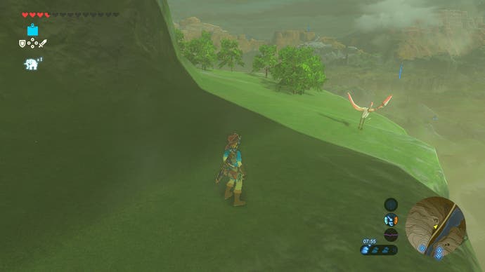 Pájaro de las montañas de Zelda