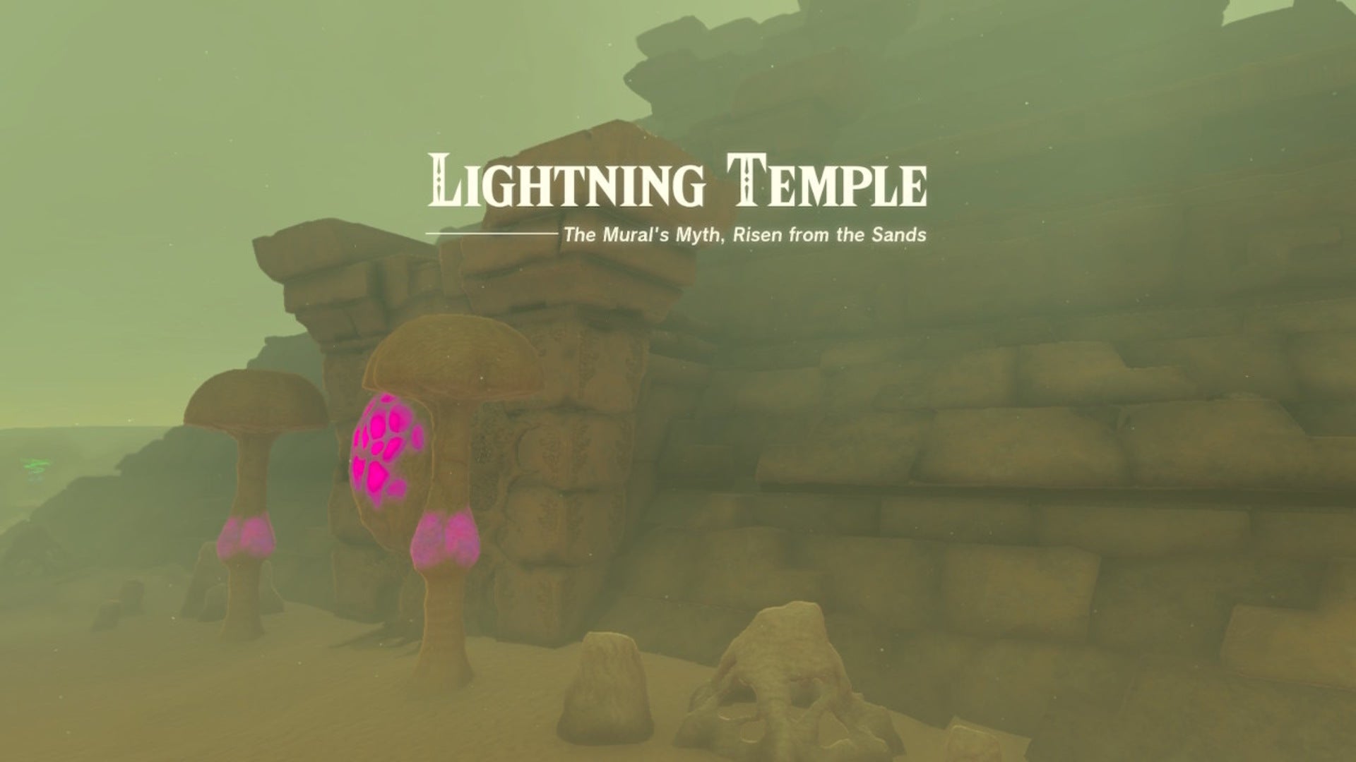 How to complete the Lightning Temple in Zelda Tears of the Kingdom VG247