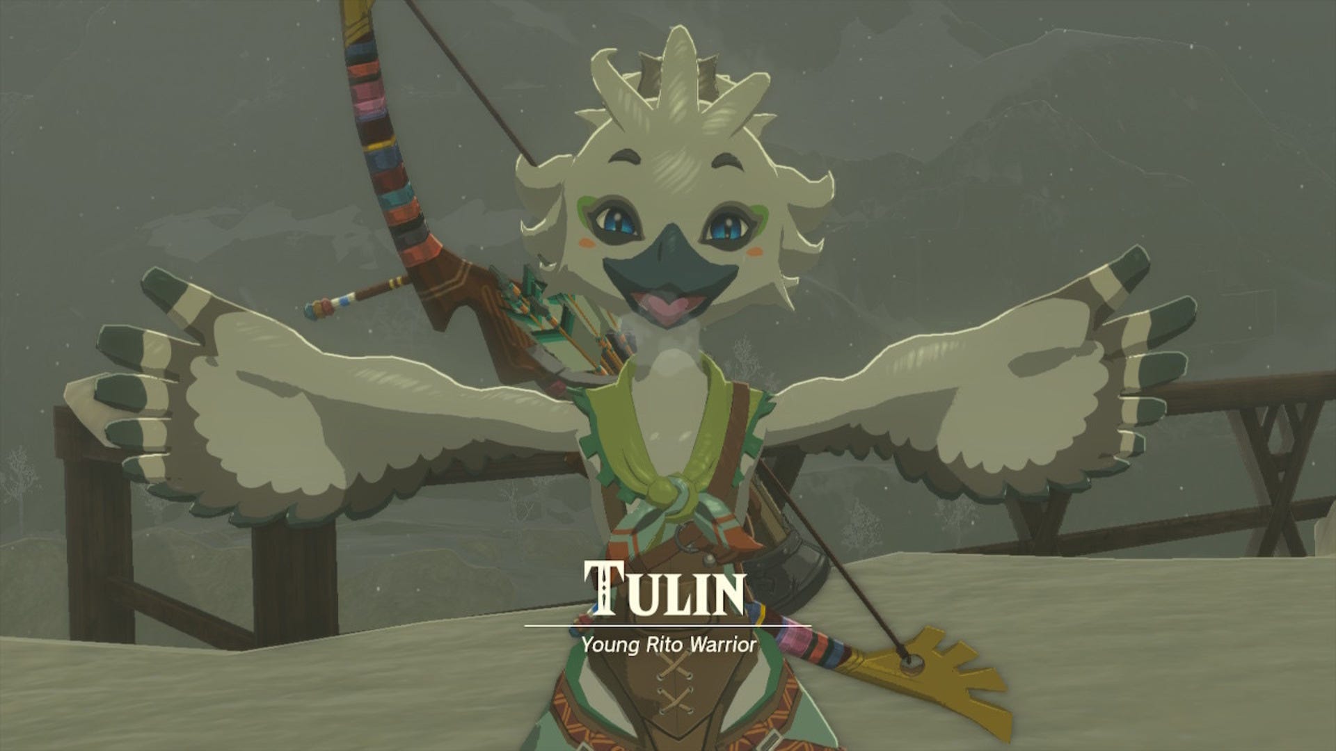 Zelda Tears of the Kingdom Tulin of Rito Village quest walkthrough VG247