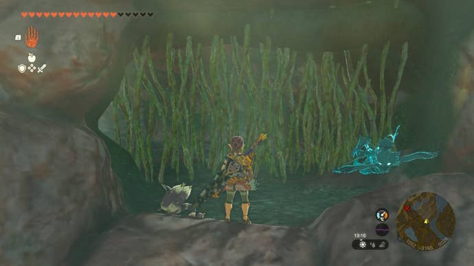Линк сталкивается с виноградными лозами, блокирующими вход в пещеру Сарджон в The Legend of Zelda: Tears of the Kingdom