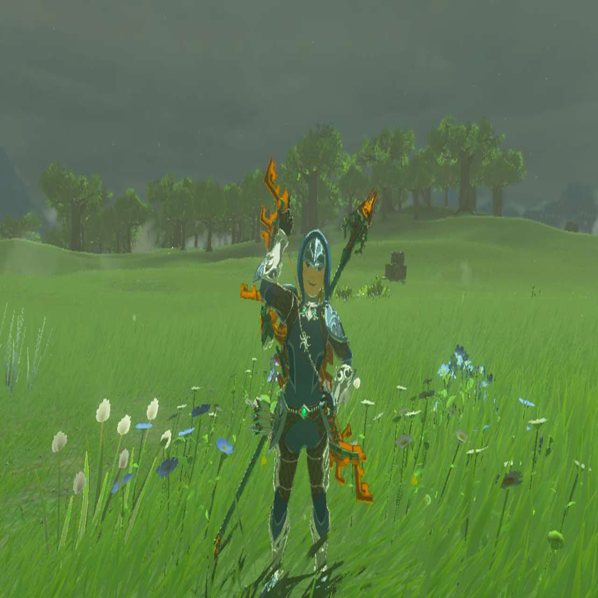 Zora Suit Link Zelda Costumes