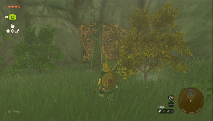 Lien debout près d'un tunnel couvert de feuilles dans la légende de Zelda: larmes du royaume