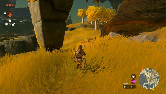在《塞尔达传说:王国之泪》中，当玩家前往Gutanbac神殿时，林克在一个长满高草的地方。