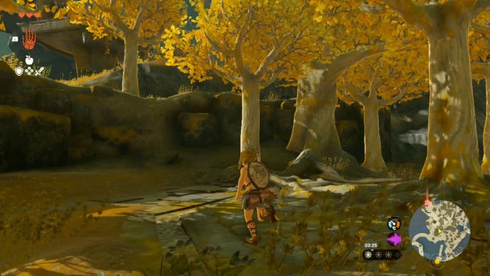 在《塞尔达传说:王国之泪》中，当玩家前往Gutanbac神殿时，林克在一片金色树叶的树林中。