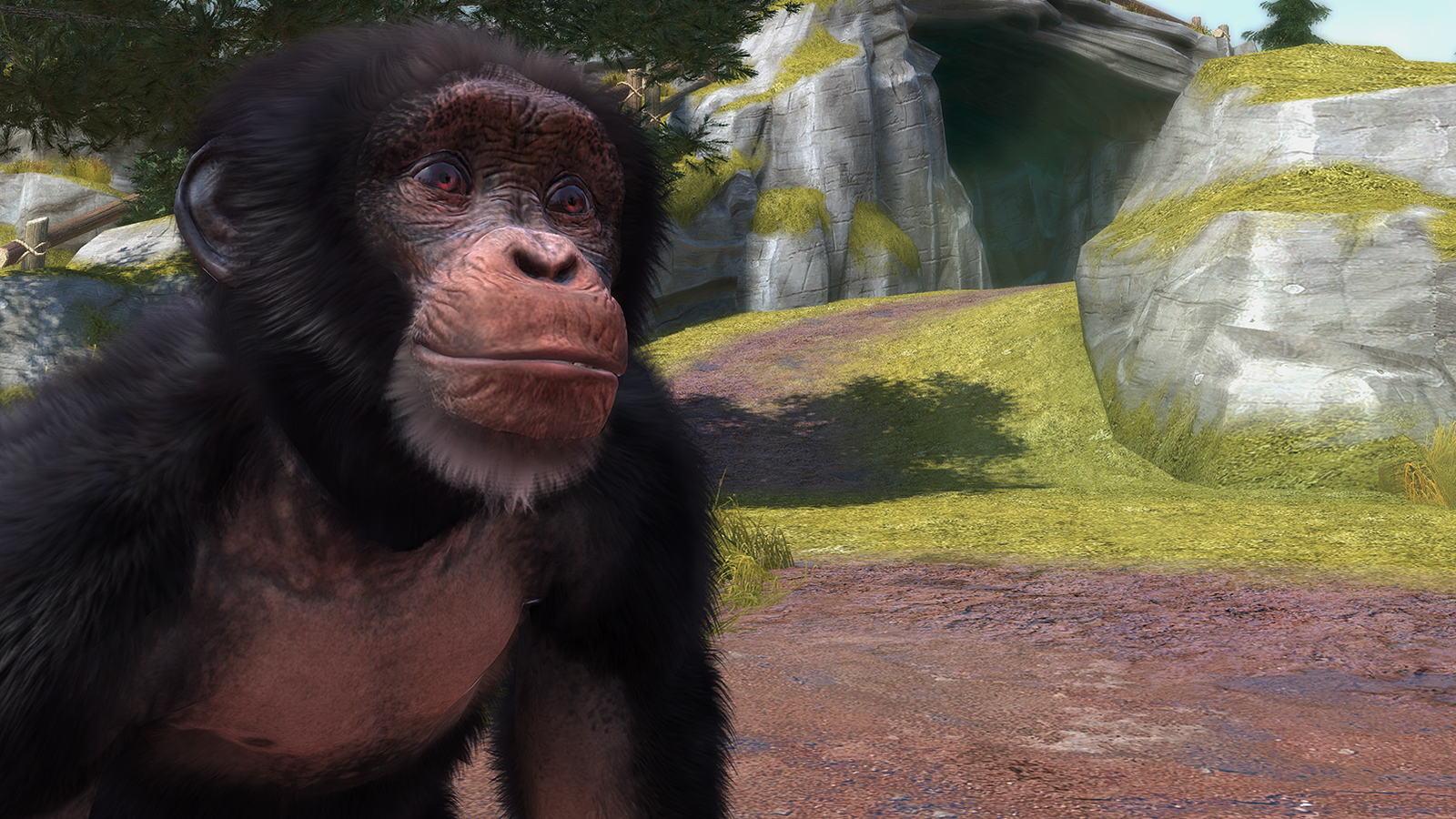 Planet Zoo is not Zoo Tycoon 2, or 3, Page 3