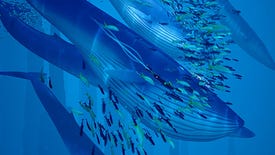 Image for Into The Sea: An ABZÛ Gallery