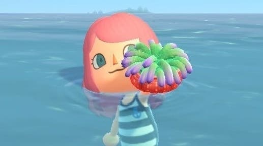 Animal Crossing Liste der Sea Creature: Alle Preise, Zeiten für Meereswesen, Zeiten und wie man TiefseeKreaturen in neuen Horizonten fängt, erklärt Animal Crossing Liste der Sea Creature: Alle Preise, Zeiten für Meereswesen, Zeiten und wie man TiefseeKreaturen in neuen Horizonten fängt, erklärt