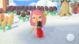 New Bugs and Fish in February: Everything arriving and leaving this month in Animal Crossing: New Horizons