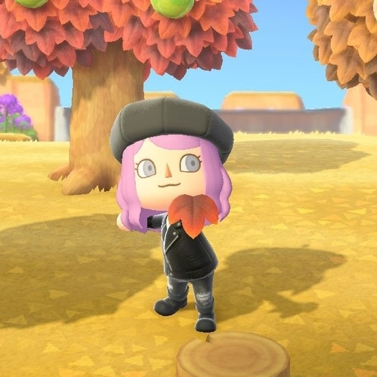 Animal Crossing Leaf