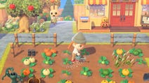 Animal Crossing pompoenen: Hoe verbouw je pompoenen, pompoenkleuren en hoe gebruik je pompoenen in New Horizons uitgelegd