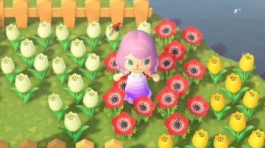 Animal Crossing Blumen: Hybriden, Kreuzung und Farbkombinationen in neuen Horizonten erklärten Animal Crossing Blumen: Hybriden, Kreuzung und Farbkombinationen in neuen Horizonten erklärten