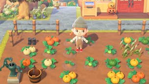 Animal Crossing: New Horizons Pumpkin guide - How to grow different colours and find all the DIY recipes