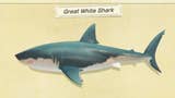 Animal Crossing New Horizons haaien: Hoe zaaghaai, hamerhaai, witte haai, walvishaai en zuigvis vangen uitgelegd
