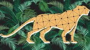 Image for “It gives us a sense of pride”: Adugo, the Indigenous Brazilian board game helping to teach maths and protect wildlife
