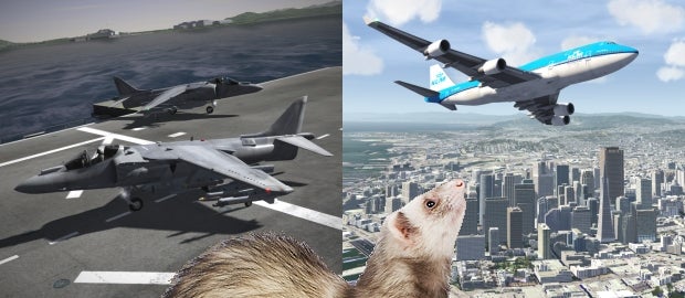 The Flare Path: Ferrets