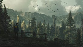 An FBI agent looks out over the heavily forested Cauldron Lake in Alan Wake 2
