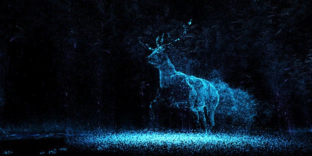 Image for A Light In Chorus: A Case In Points