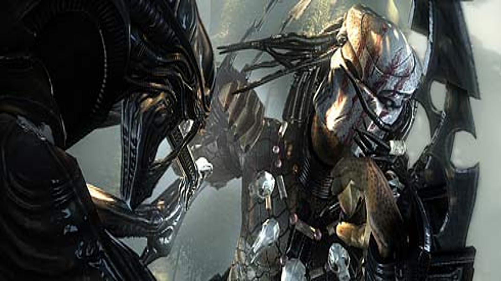Video Game Aliens Vs. Predator HD Wallpaper