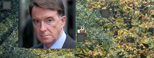 Image for The AI That Designs Its Own Games