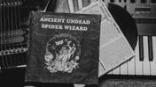 Ancient Undead Spider Wizard is a vinyl EP sleeved in a playable tabletop RPG adventure