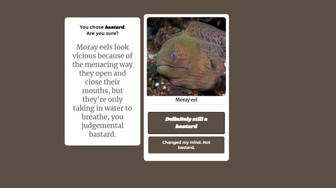 An image of a moray eel, alongside a text box castigating you for thinking the way they breathe looks sinister.
