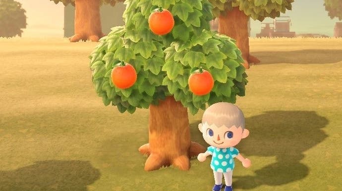 Animal Crossing Obst: Backzeit wachsen, Nahrungsvorteile und wie man Obstbäume in New Horizons pflanzt Animal Crossing Obst: Backzeit wachsen, Nahrungsvorteile und wie man Obstbäume in New Horizons pflanzt