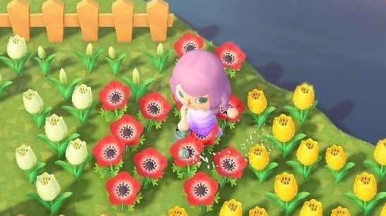 Animal Crossing Golden Watering Can schemat na złotą konewkę w New