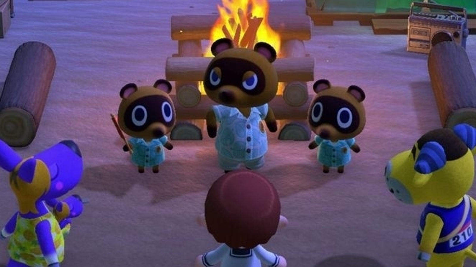 Animal Crossing island name ideas - and why you can't change your island  name in New Horizons | Eurogamer.net