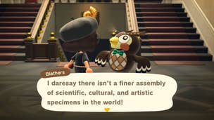 Blathers compliments an Animal Crossing: New Horizons player on completing their art gallery collection.