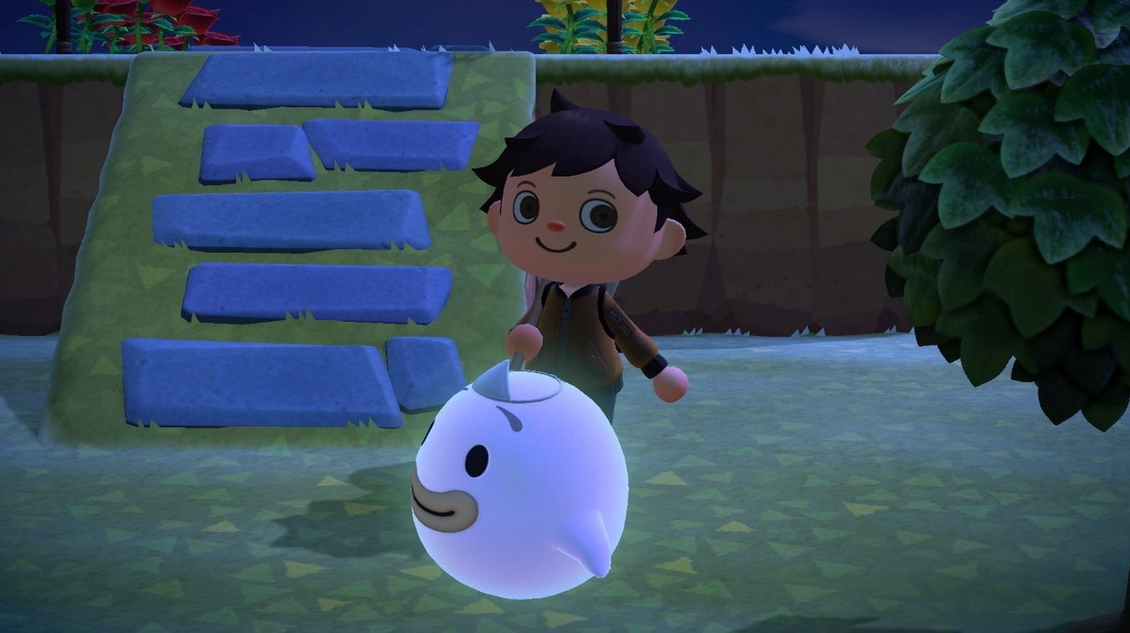 Animal Crossing New Horizons Buhu Belohnung Animal Crossing: New Horizons - Seelenfragmente für Buhu finden, so