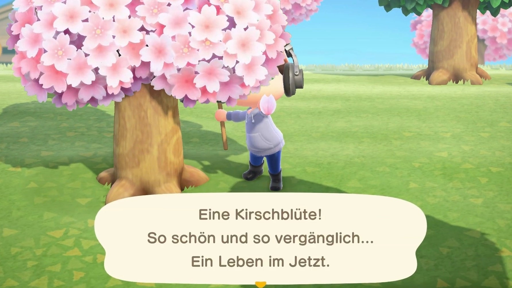 Animal Crossing New Horizons Wie ihr Kirschblüten fangen könnt und wofür sie gut sind