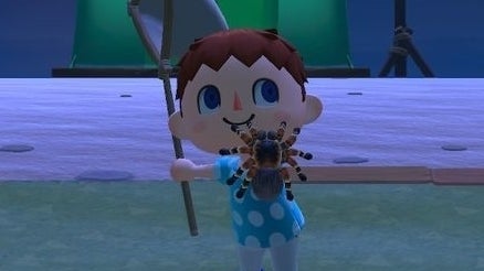 Animal Crossing Tarantulas How to catch, spawn and get Tarantula